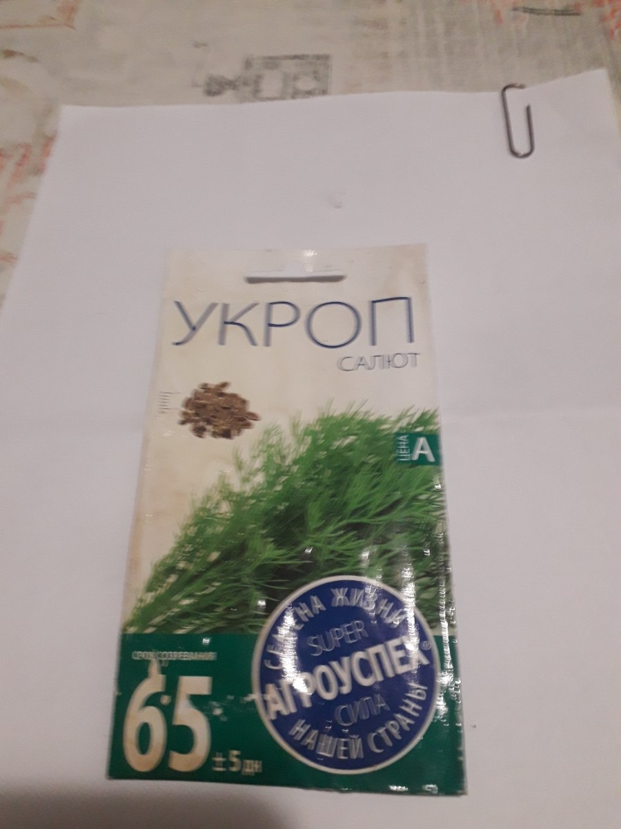 Укроп фейерверк