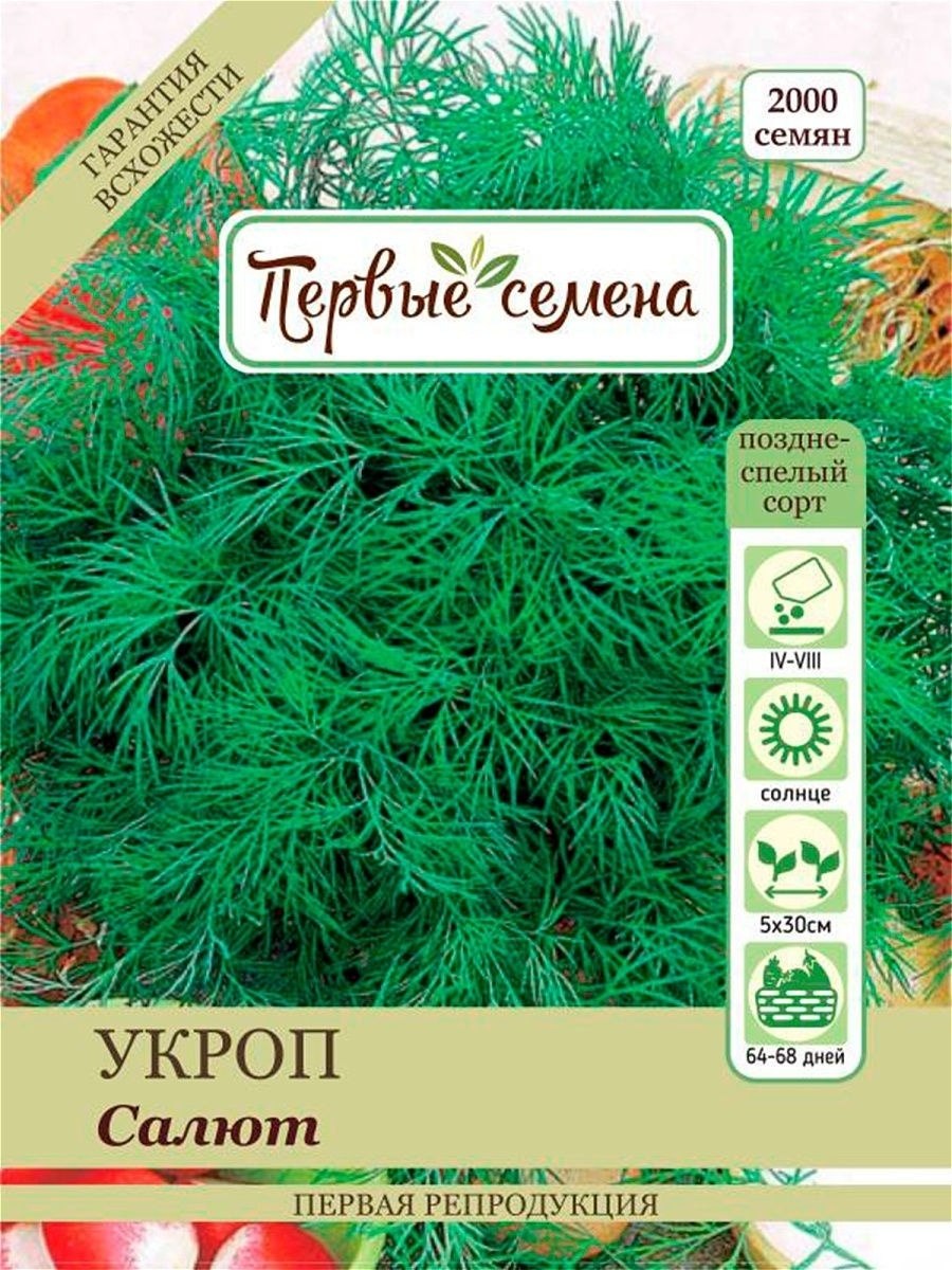 Семена укроп салют