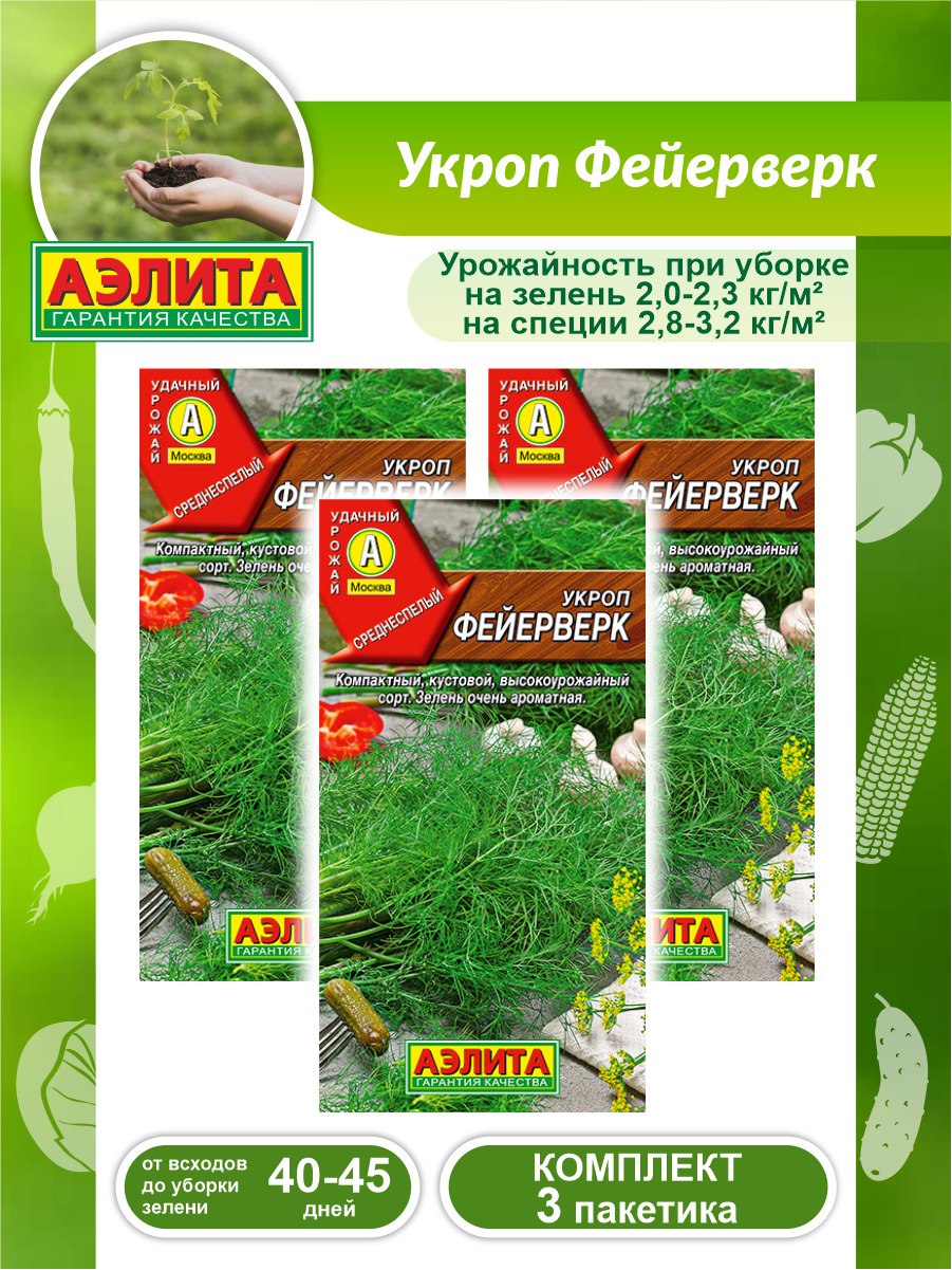 Укроп салют