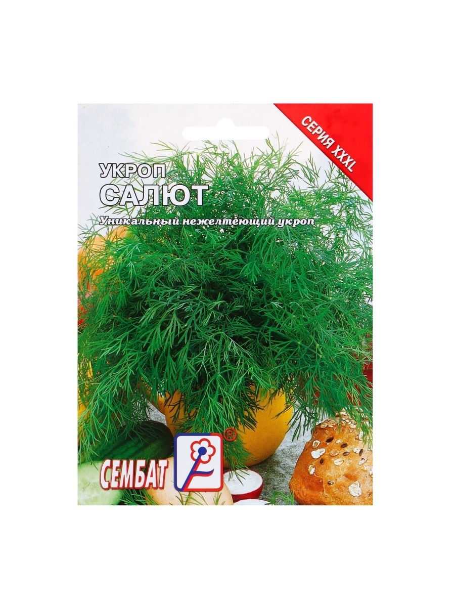 Укроп Гренадер