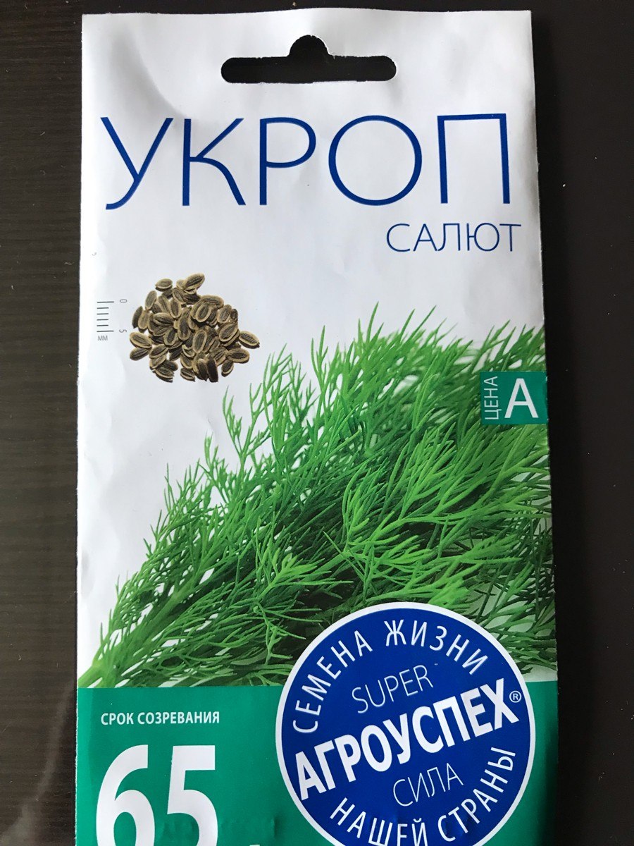 Укроп фейерверк