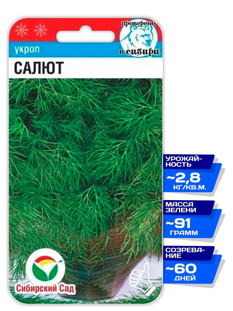 Укроп Дальний