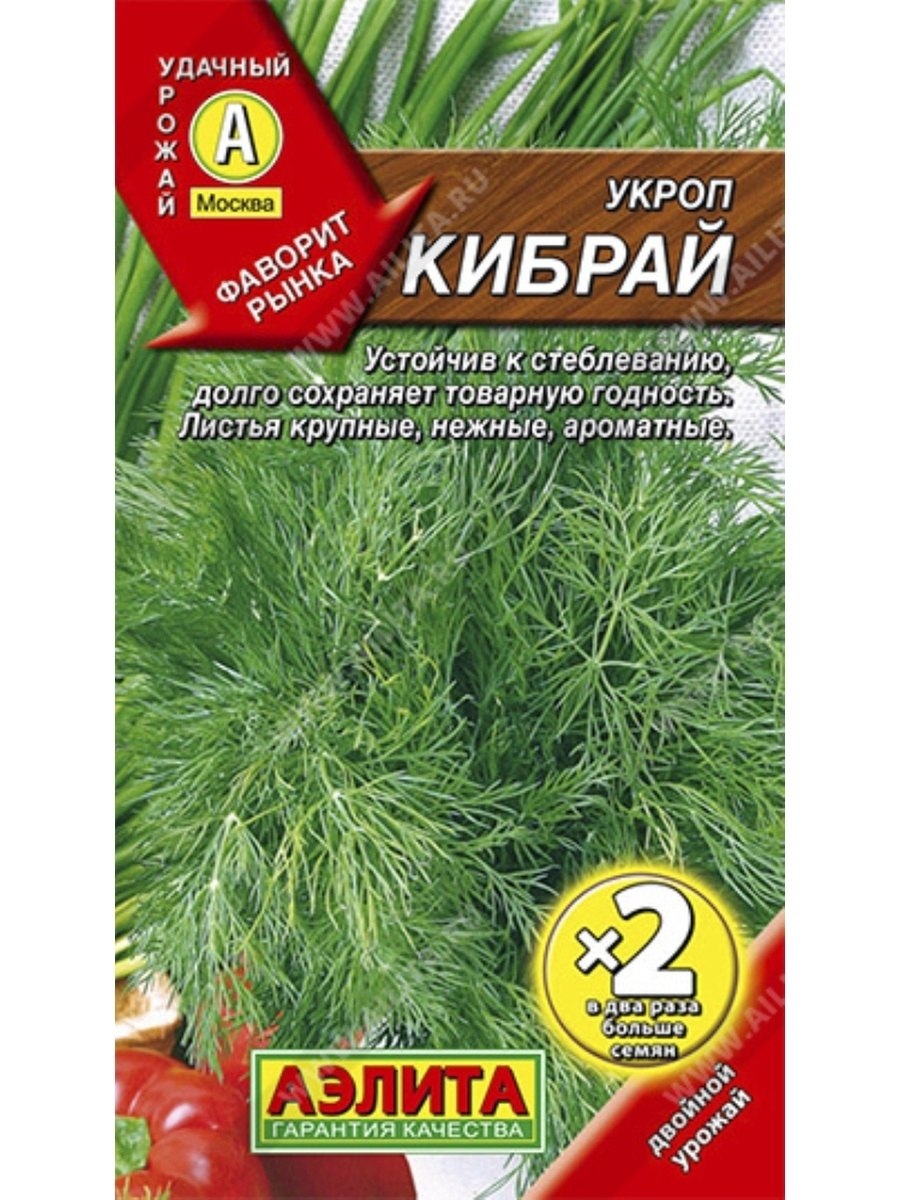 Семена укроп Аллигатор