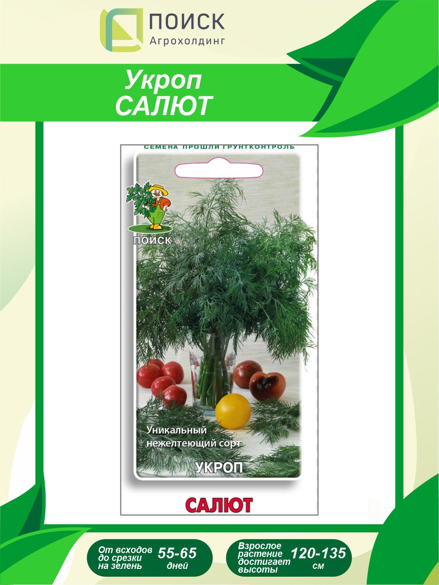 Укроп Алмаз