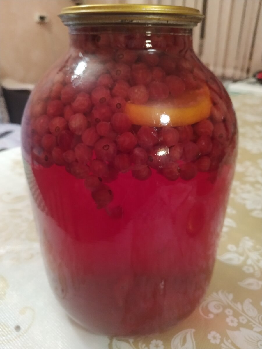 Компот с красной смородиной и апельсином