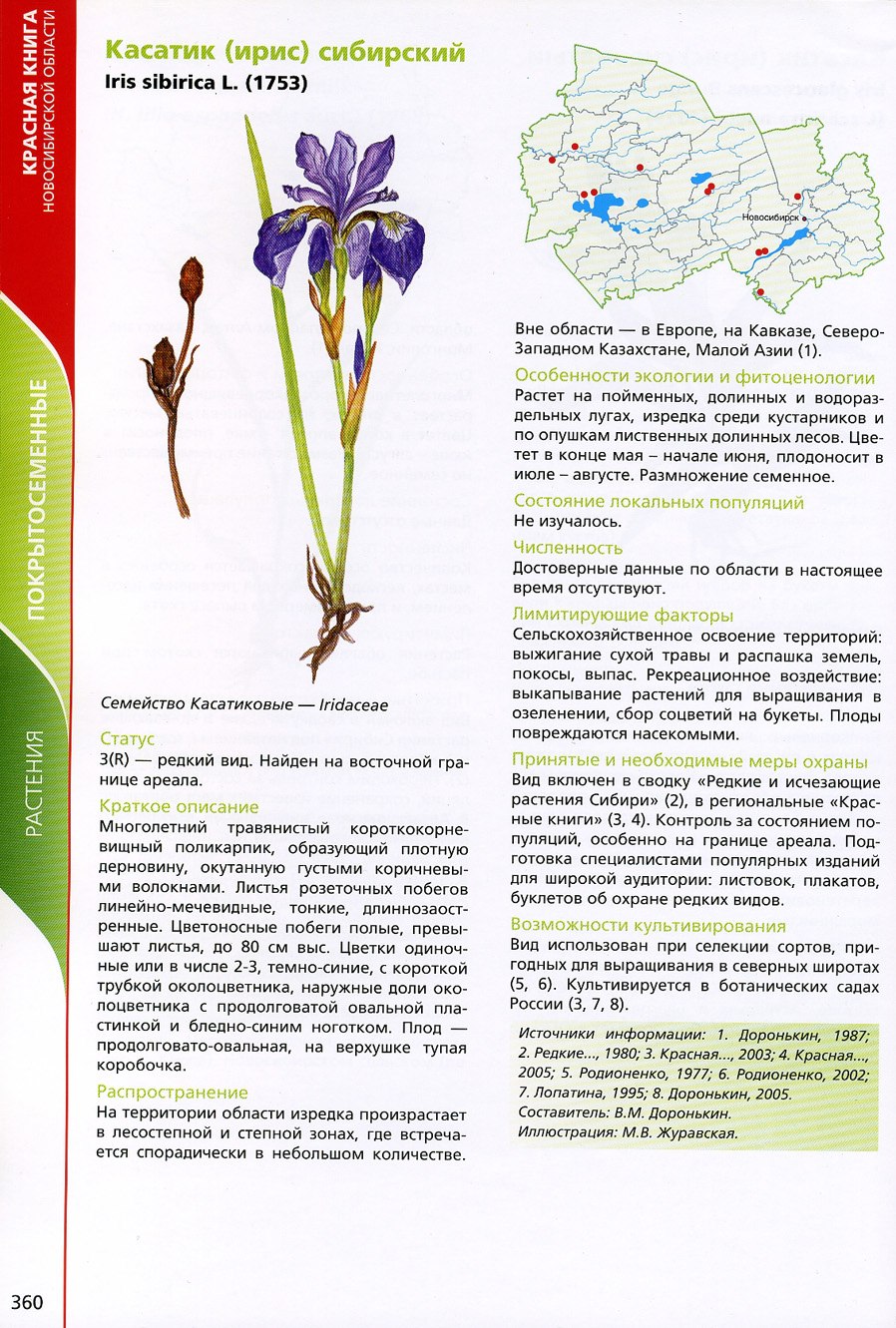 Ирис Сибирский красная книга Новосибирской области