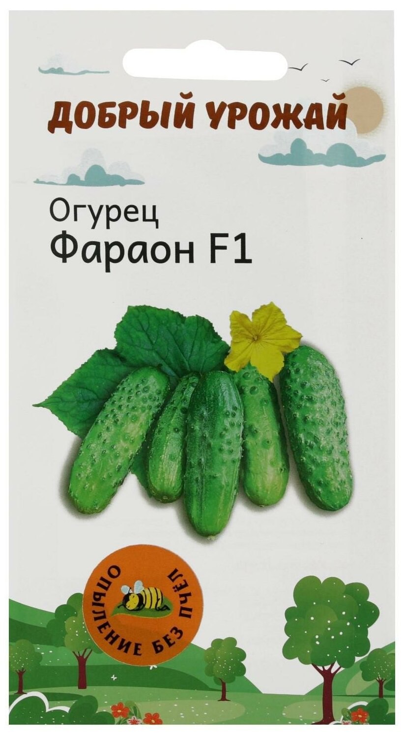 Огурец Амур f1 - корнишон (уд)