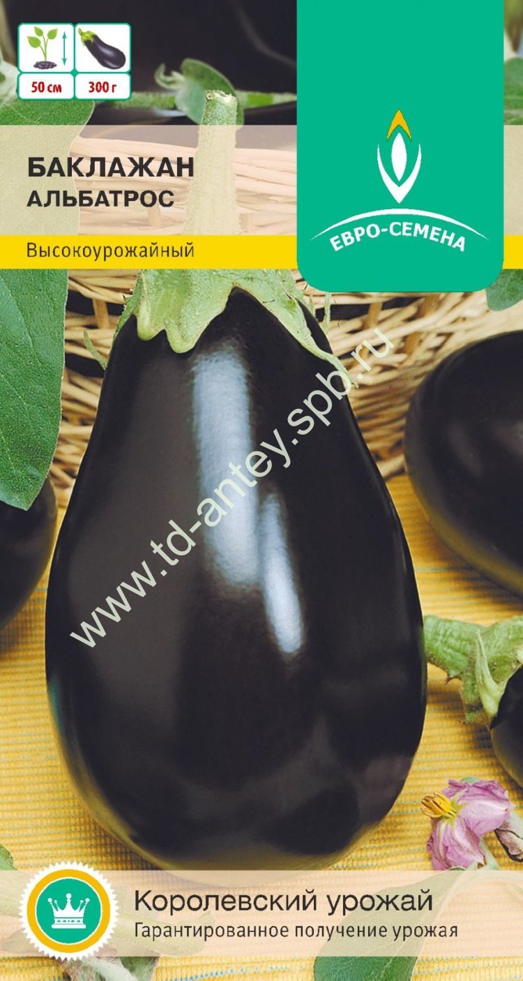 Баклажан Альбатрос (0,3г)