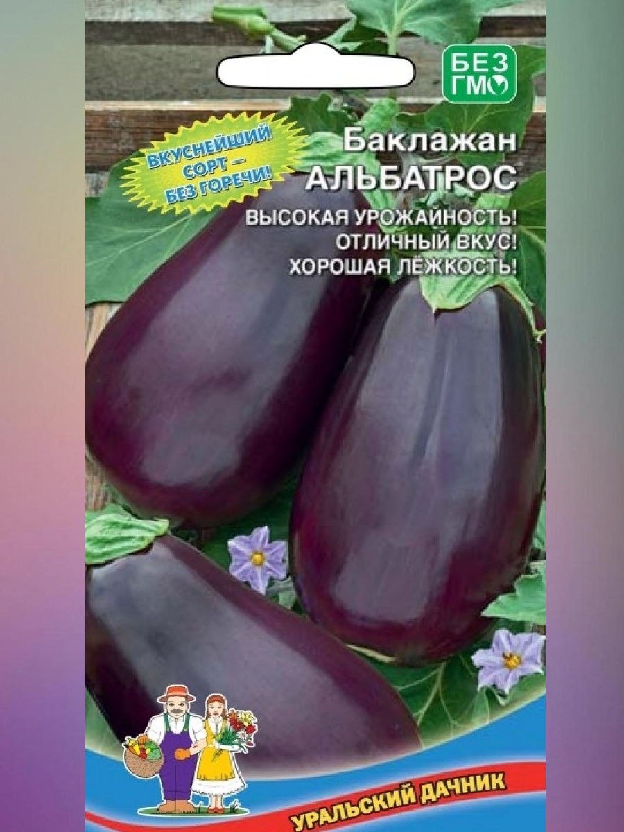 Баклажаны сорт Альбатрос