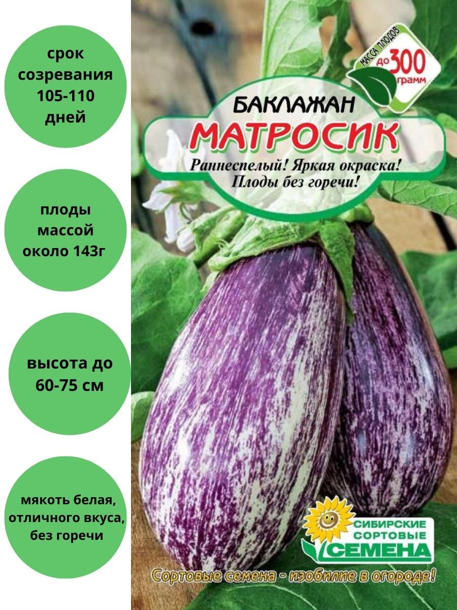 Семена баклажан Северный блюз