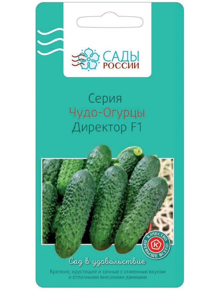 Огурец директор f1 (Нунемс) "Агроэлита"