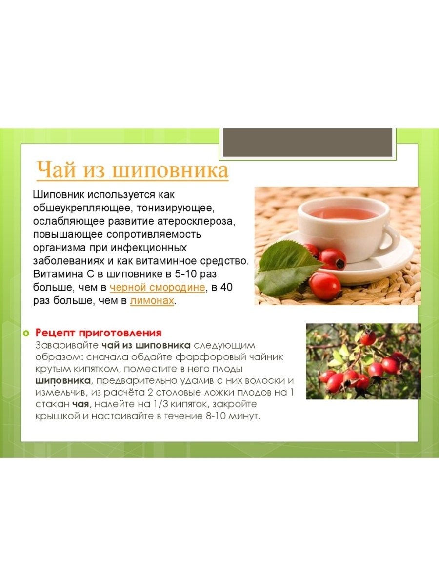 Чем полезен шиповник