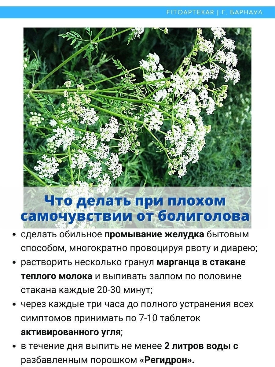 Малина обыкновенная по Раункиеру