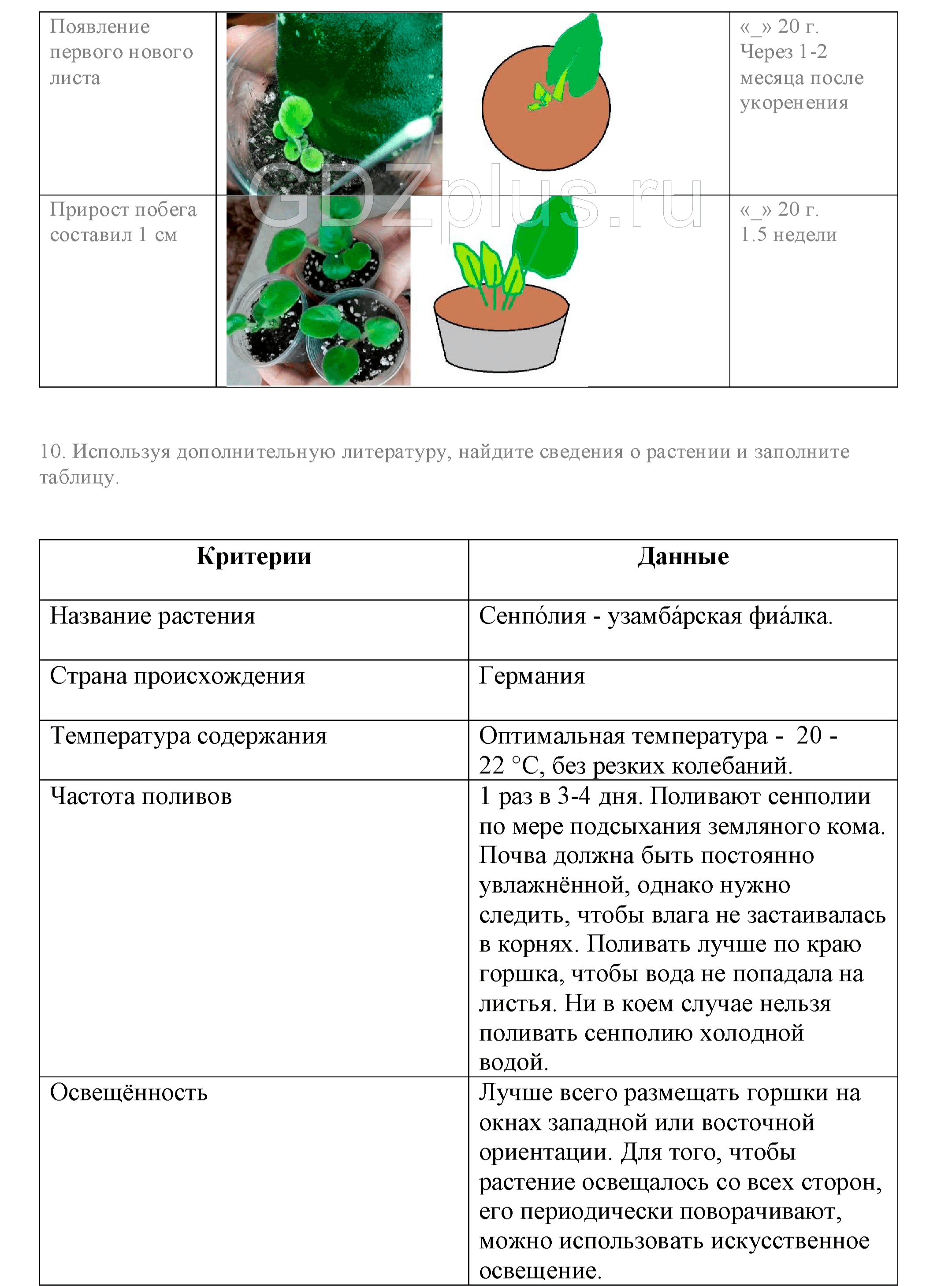 Размножение растений 6 класс тест с ответами