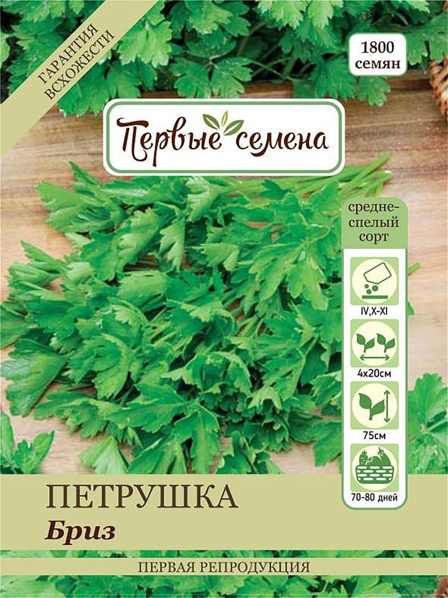 Семена петрушка Алба корневая