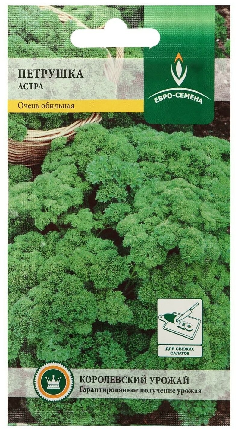 Петрушка Астра