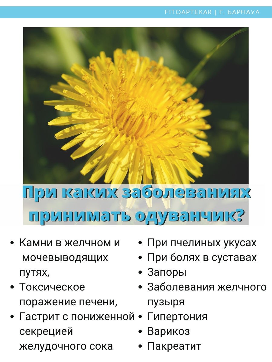 Титульный лист для презентации одуванчик