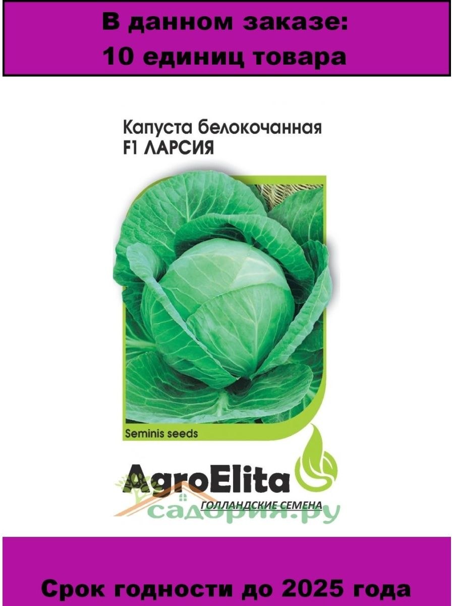 Как берут семена капусты