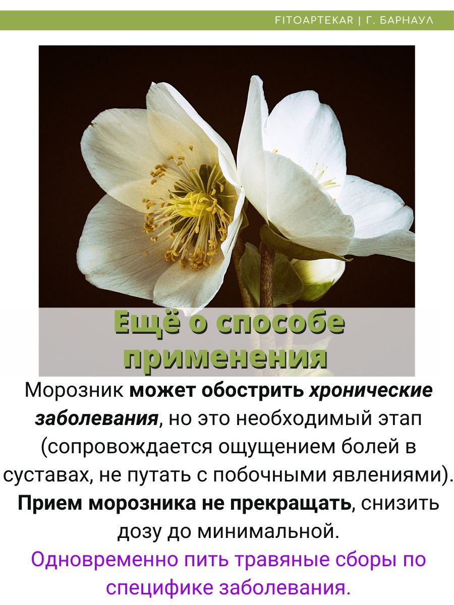 Морозник трава в порошке