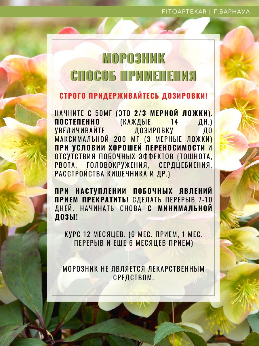 Морозник кавказский интересные факты