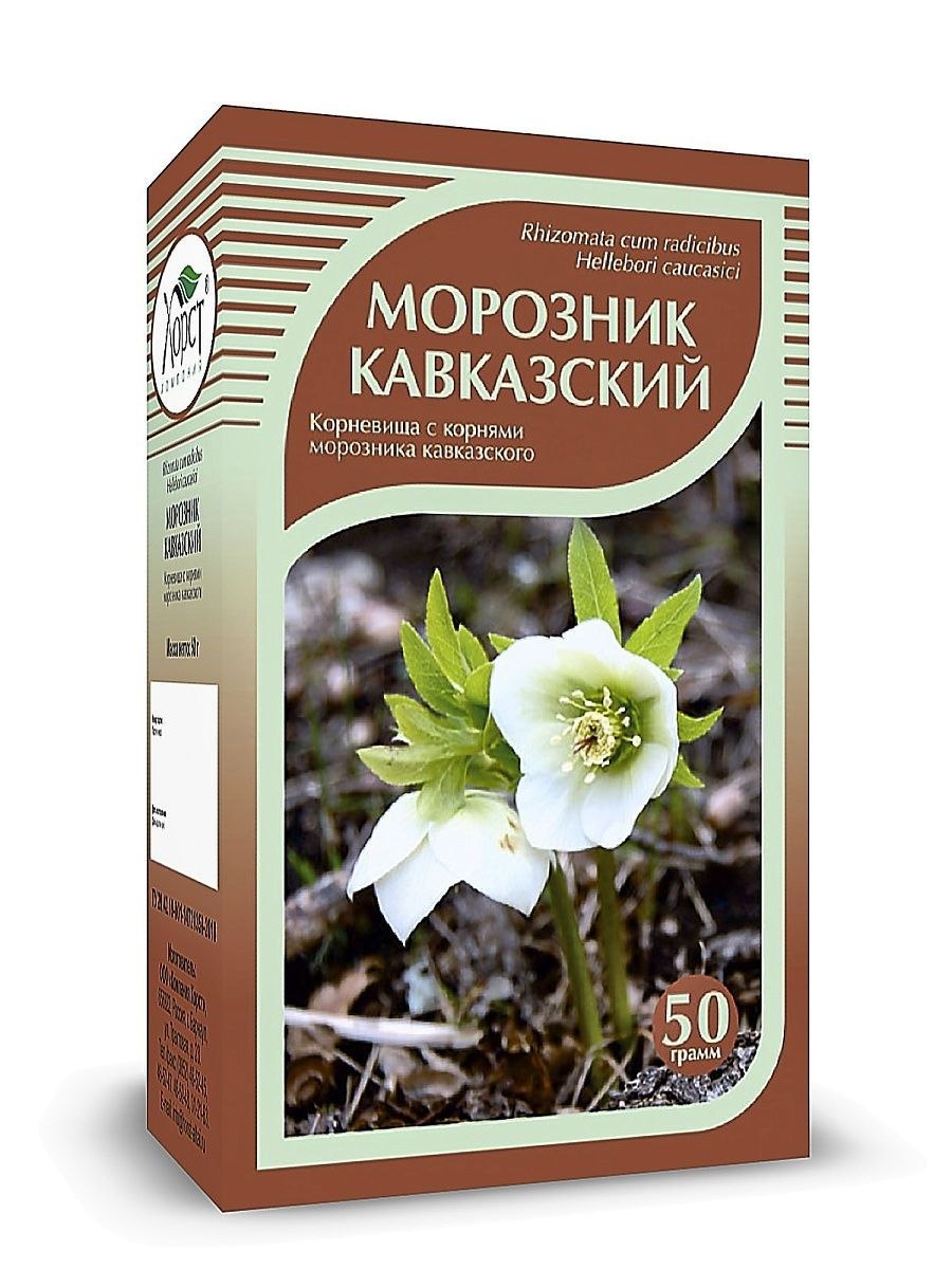 Морозник геллеборус
