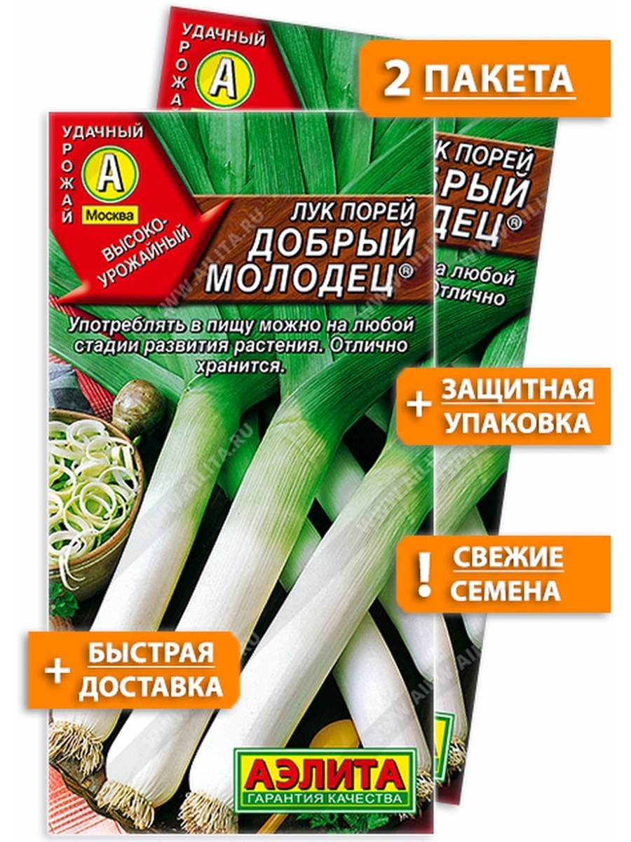 Лук порей русский размер