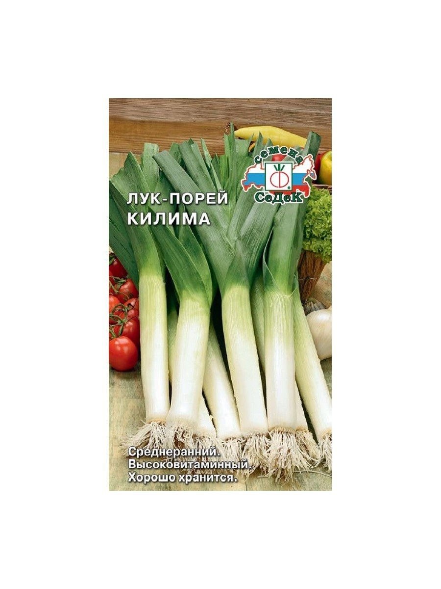 Лук порей сорта