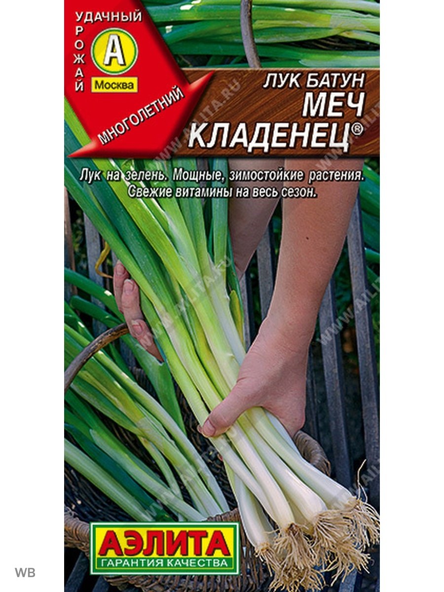 Сорт лука порея Коламбус