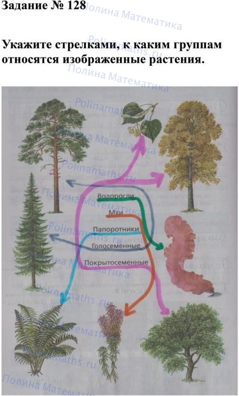 Юрский мезозойской эры растения