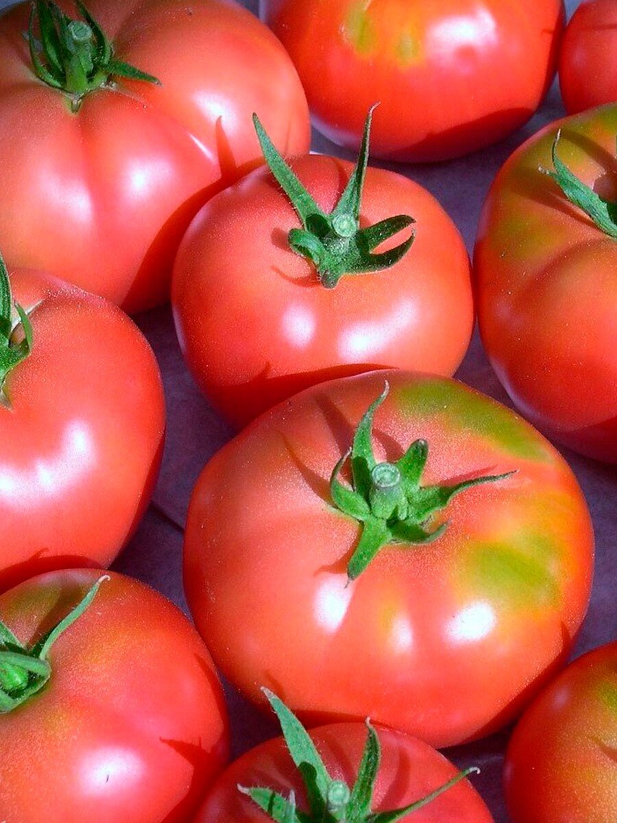 Томат роузи