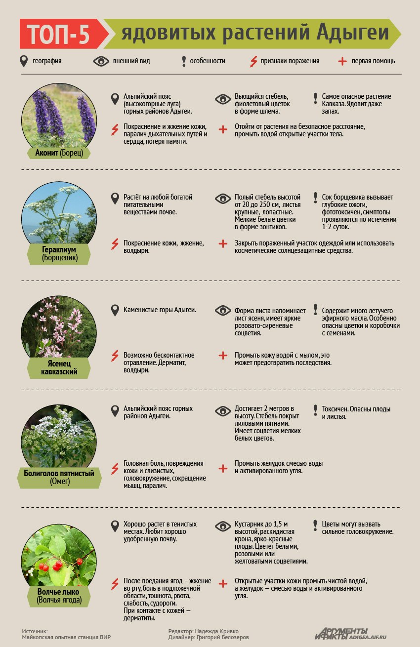 Ядовитые растения таблица