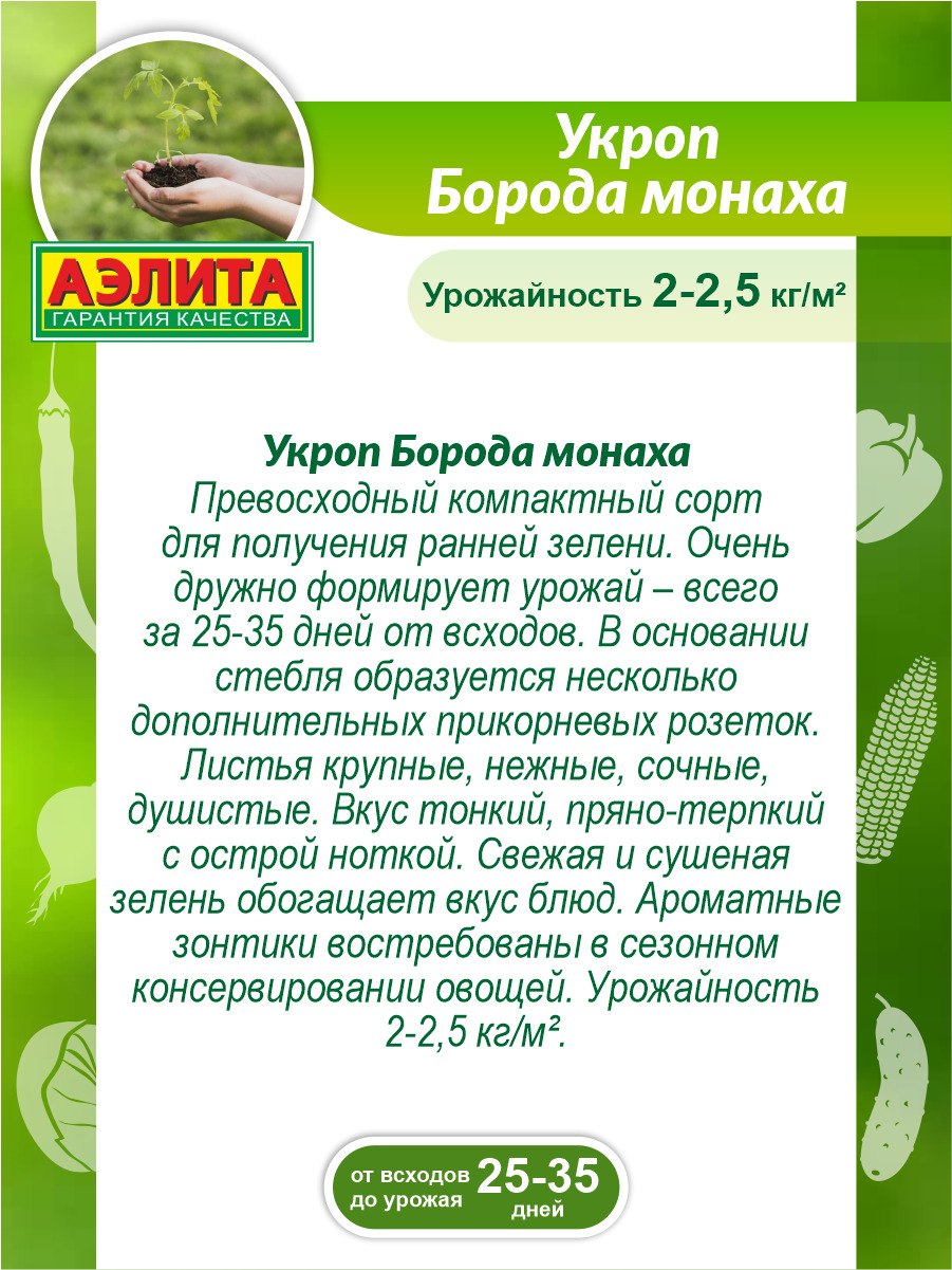 Аэлита укроп борода монаха