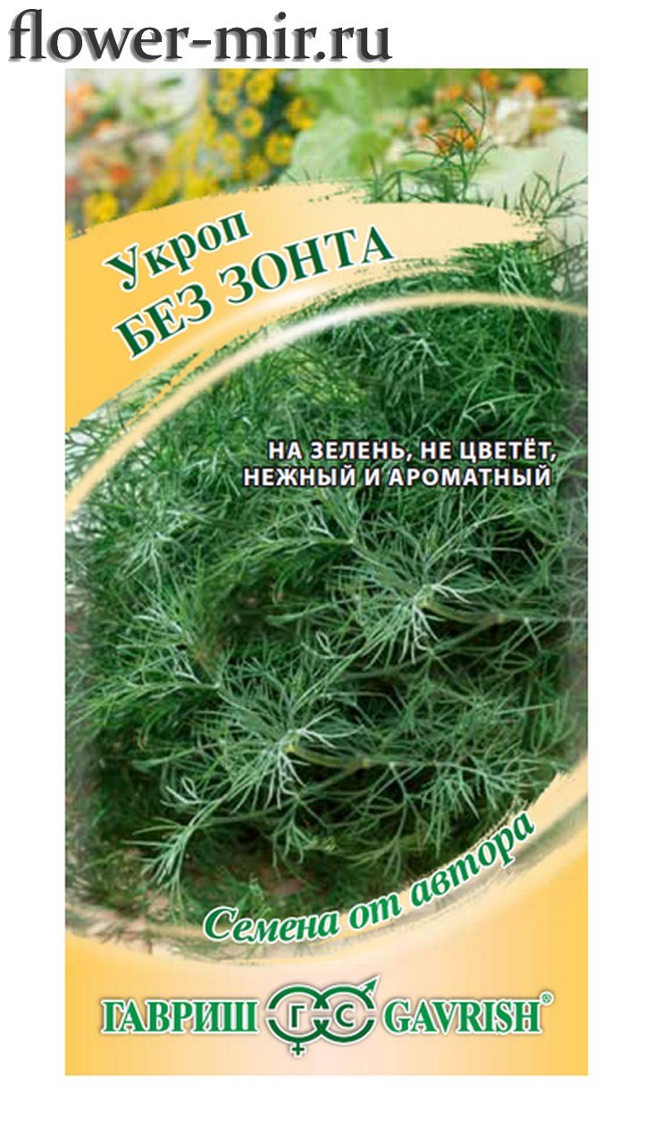 Трезвый русский бородатый