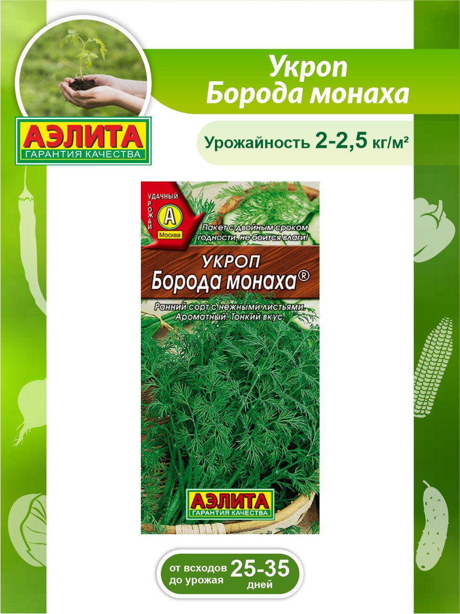 Аэлита укроп борода монаха