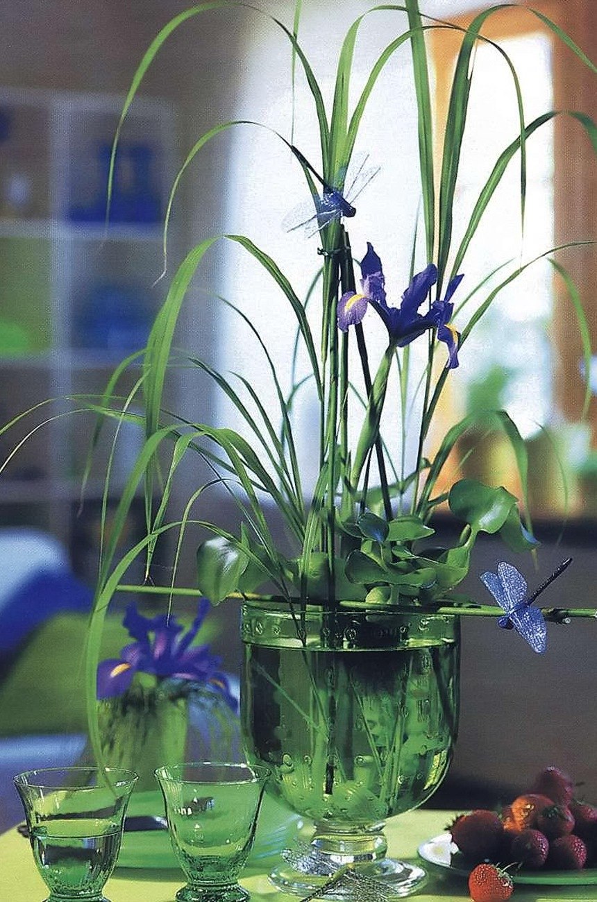 Цветок комнатный водяной