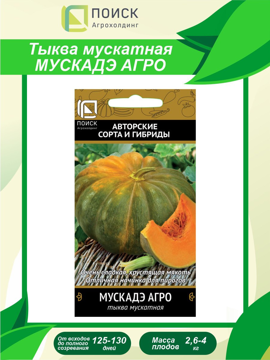 Тыква цукини мускатная