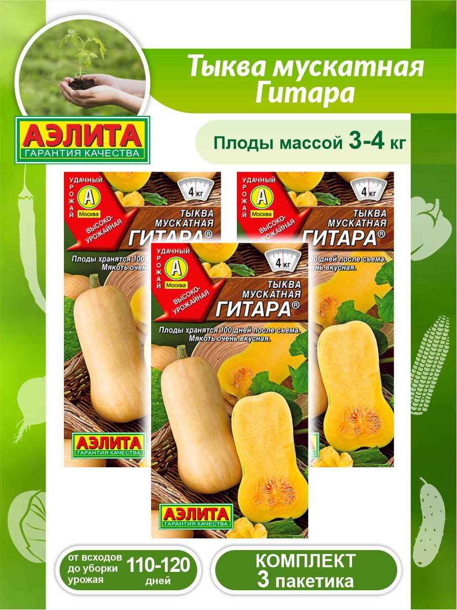 Тыква мускатная Аннушка