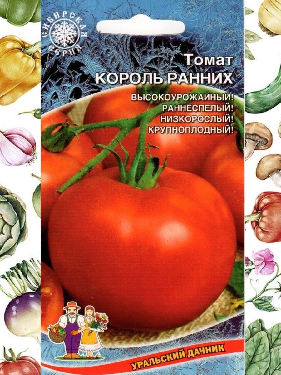 Помидоры Уральский Дачник