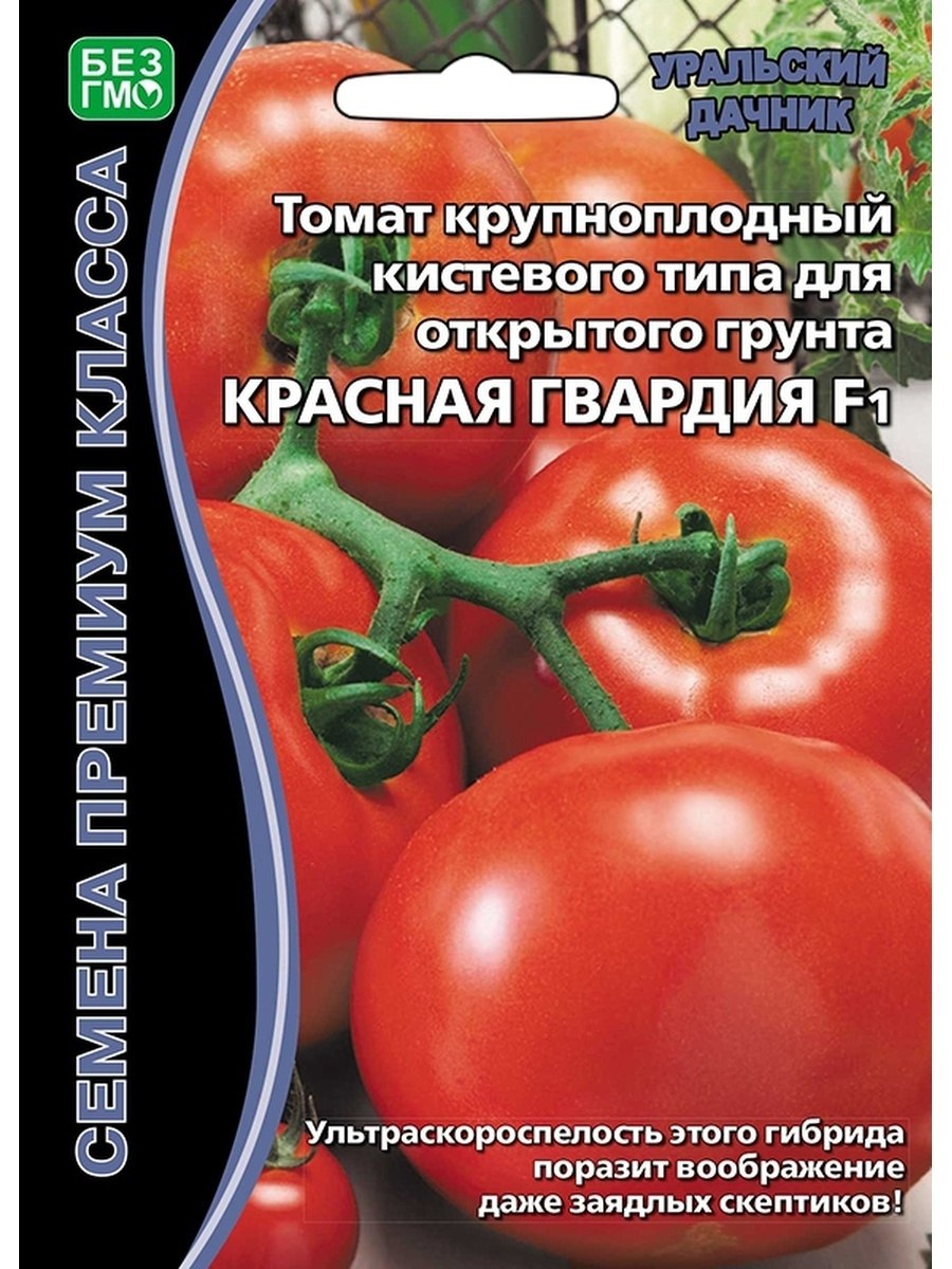 Томат сорт ни забот ни хлопот