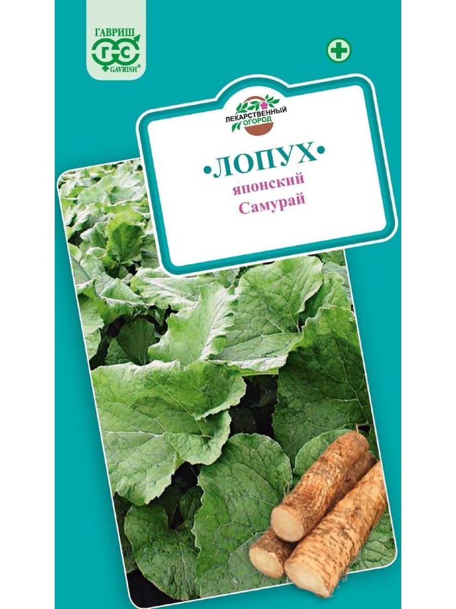 Лопух Самурай (Гавриш) , шт