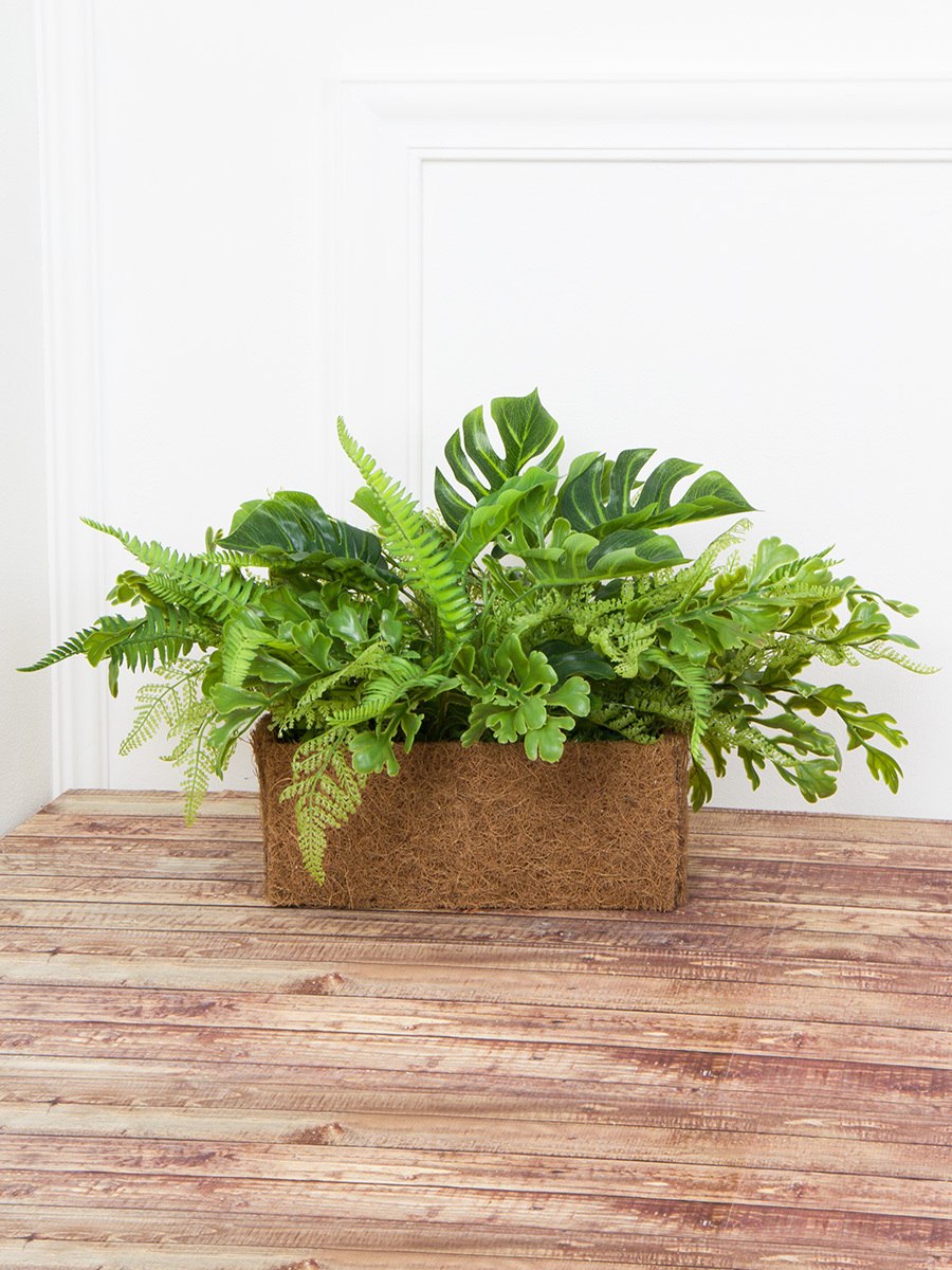 Висячие растения