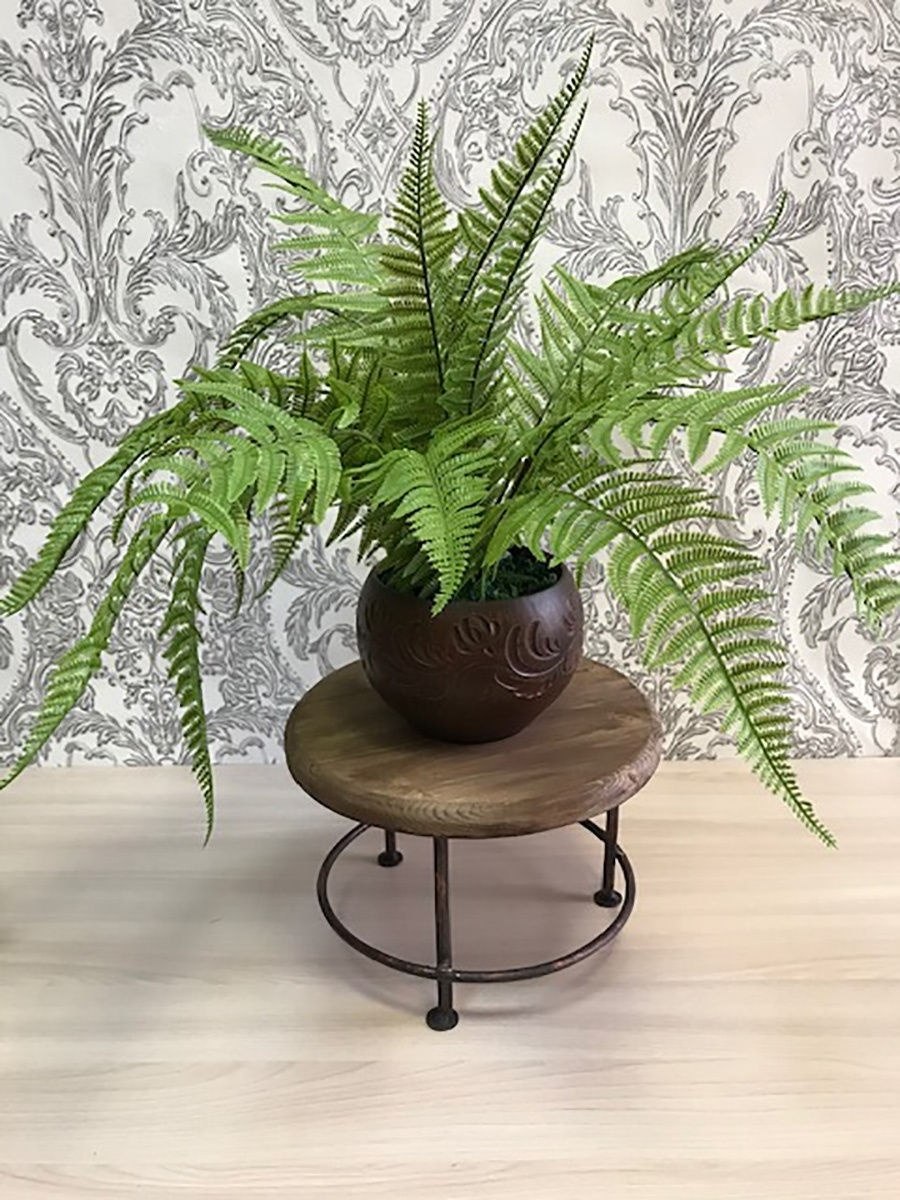 Папоротник в горшке вектор