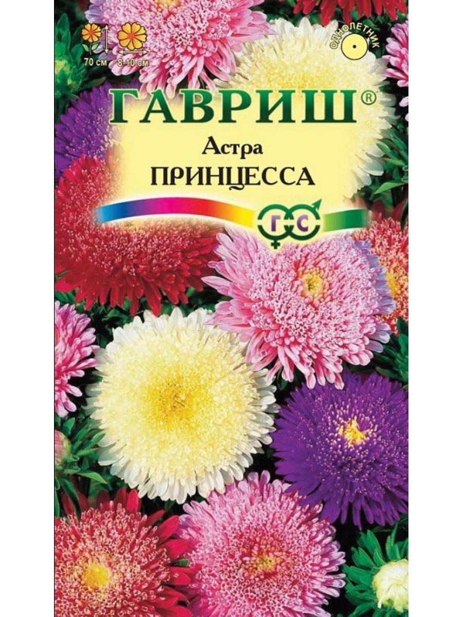 Астра сентябринка многолетняя