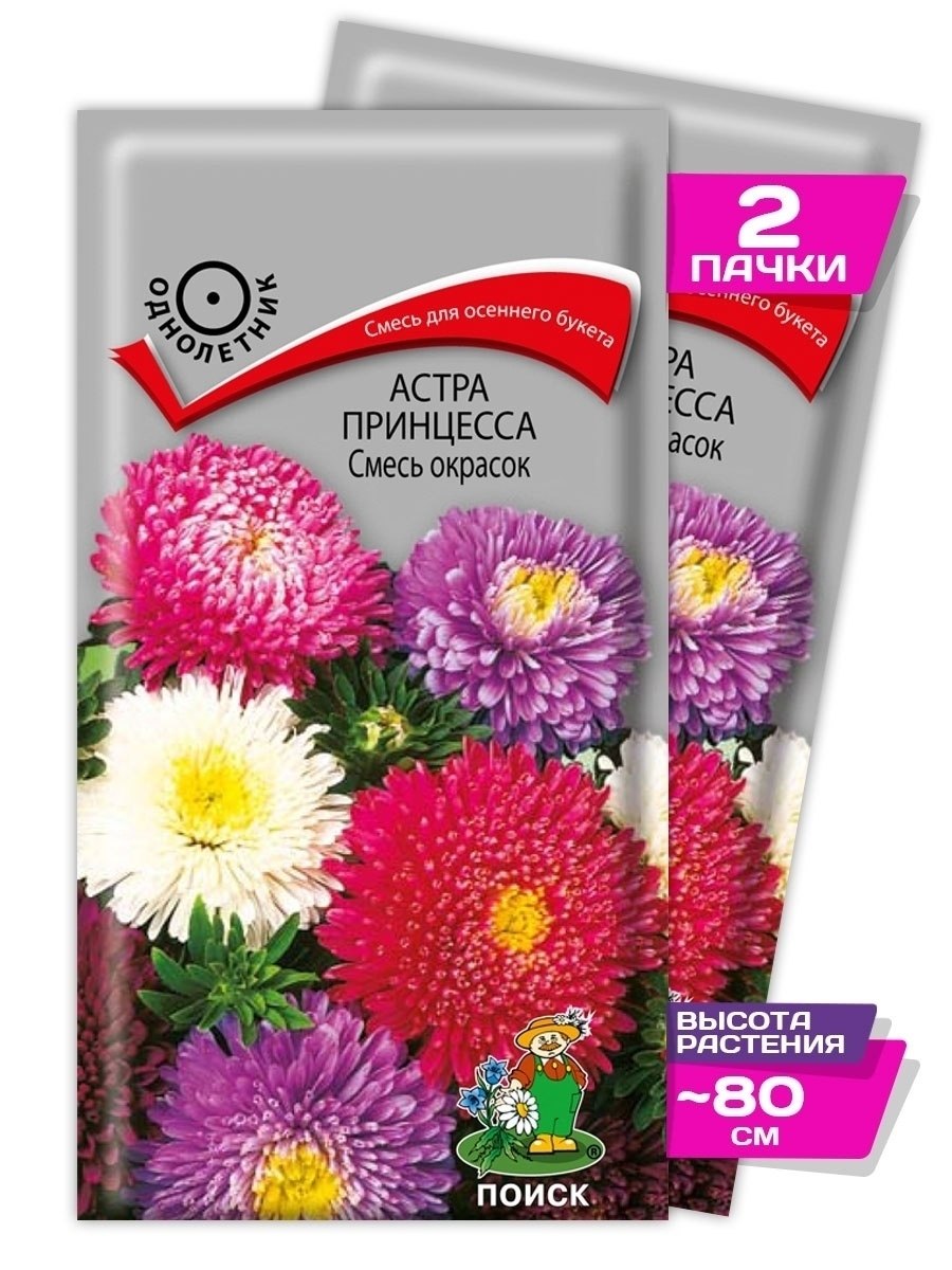 Астра китайская Бенари принцесс