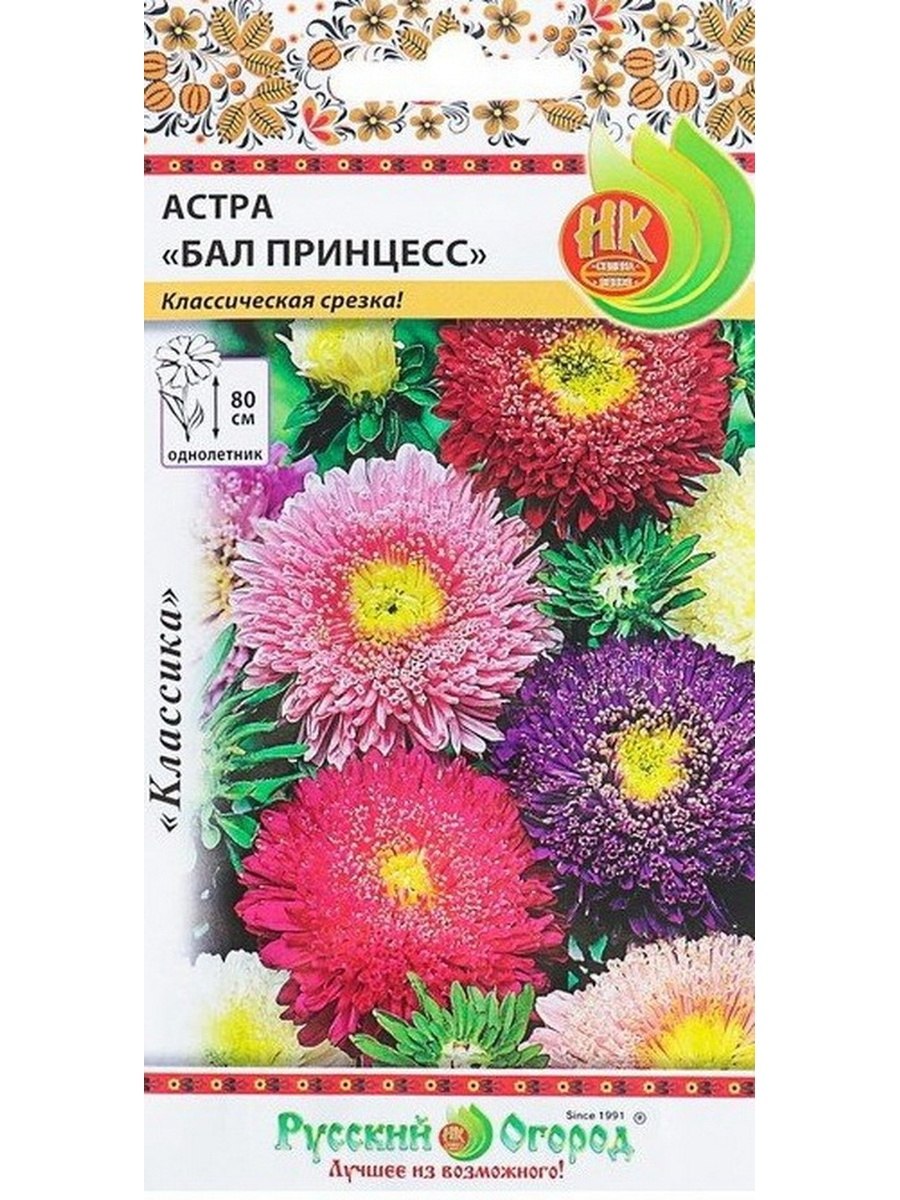 Астра принцесс