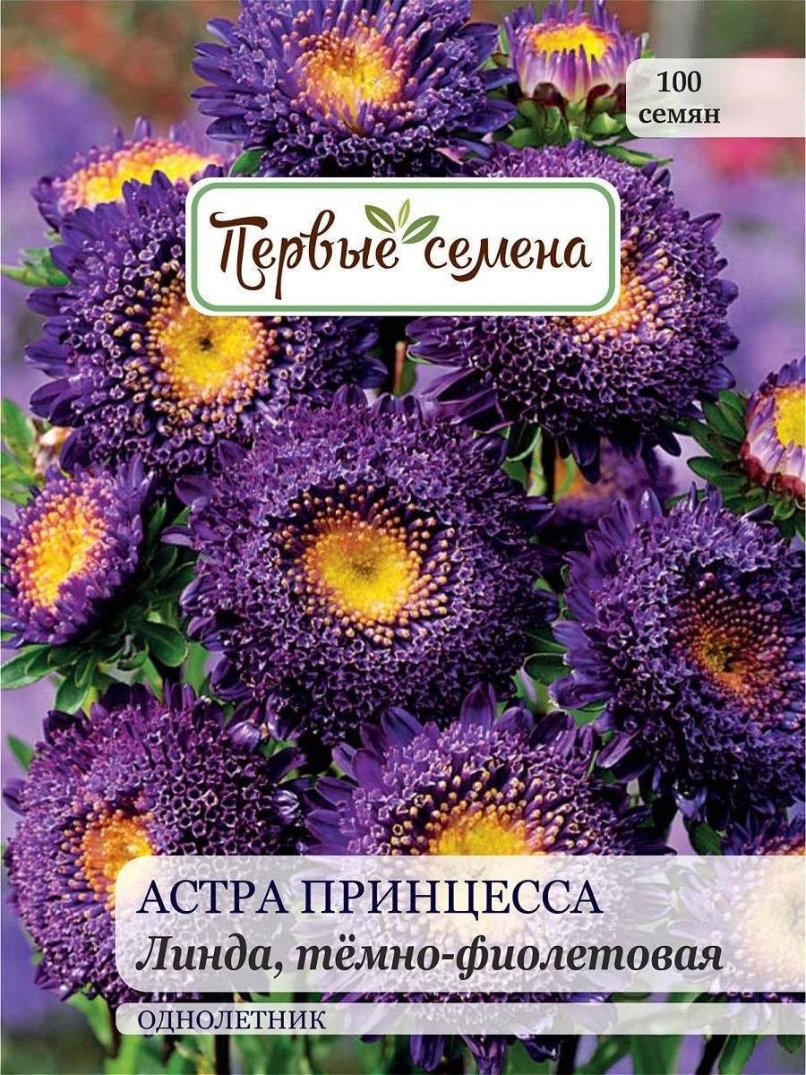 Астра принцесса Давина Гавриш