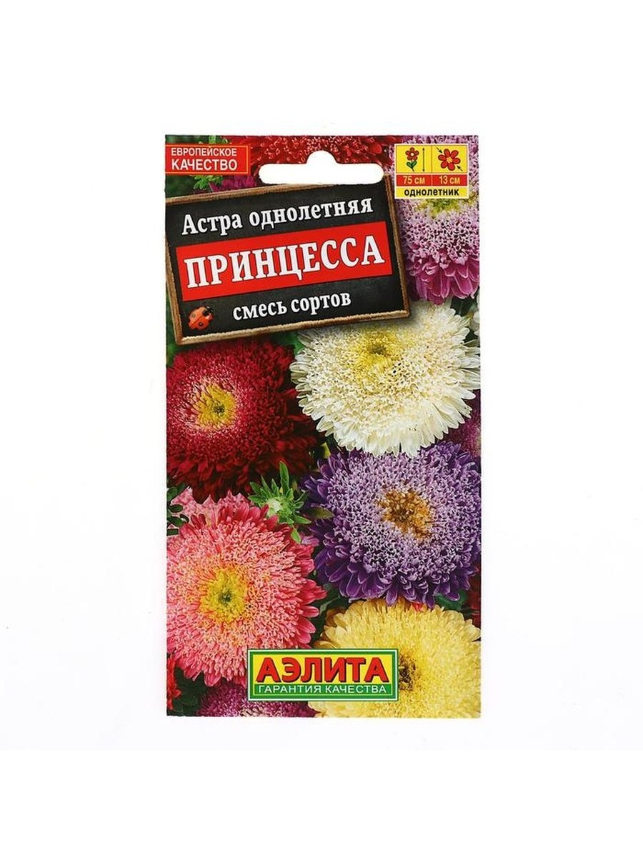 Астра Виктория