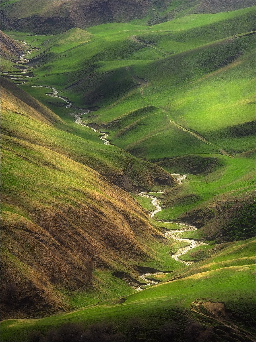 Альпийские Горно-луговые почвы Краснодарский край