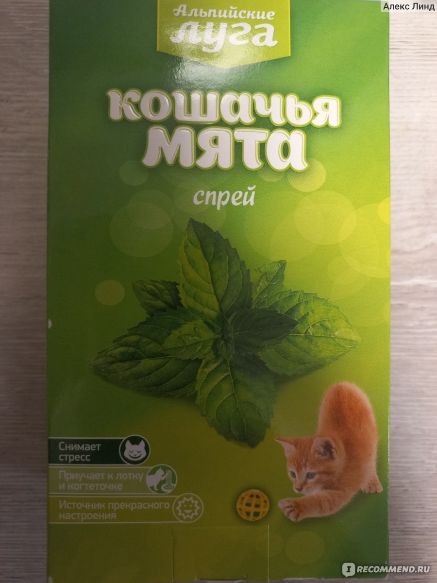 Поляна Косыгина Домбай
