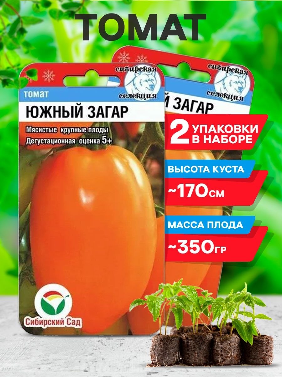 Томат Южный загар Сибирский сад